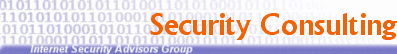/images/titles/Security_Consulting.gif